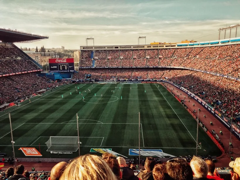 Sports fans by league or interest